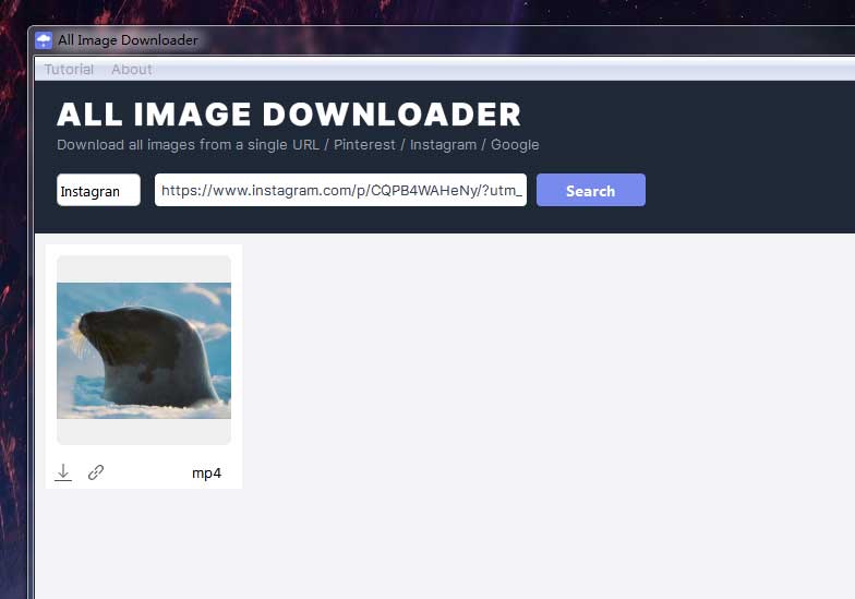 preview instagram image and video in all image downloader