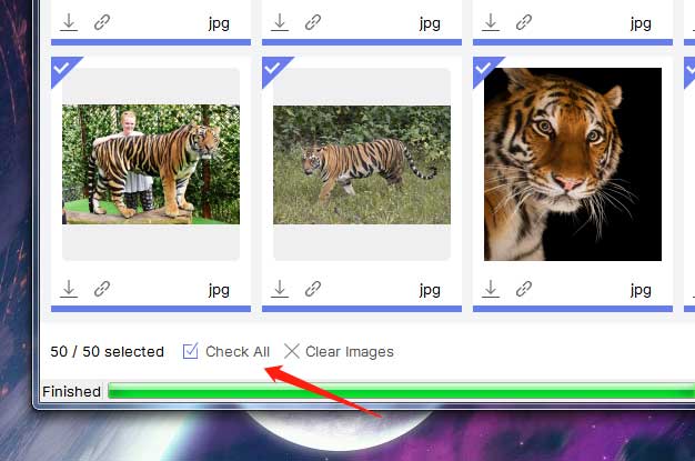select all images